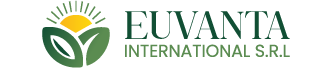 euvanta-international.com