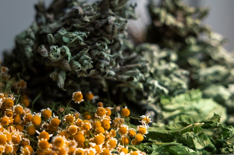 Dried chamomile and green herbs